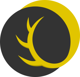 NordAxon logo